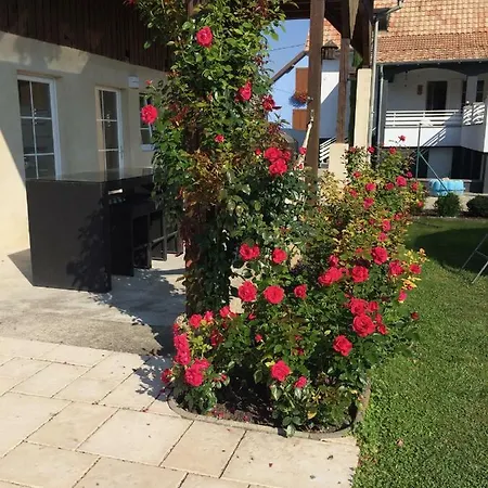 Alsace Maison 5p Piscine Europapark Rulantica Marckolsheim