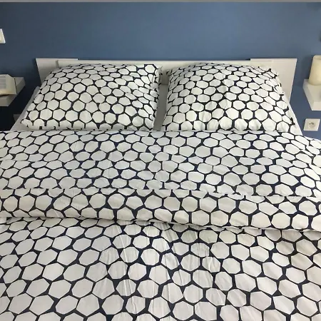 Alsace Maison 5p Piscine Europapark Rulantica 別荘 マルコルスハイム